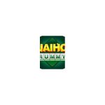 Discover the Best Rummy App Like Jai Ho Spin