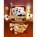 Discover the Best Rummy App Like Rummy Mate