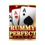Discover the Best Rummy App Like Rummy Perfect 334