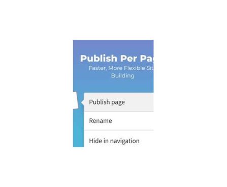Multi Site Publish