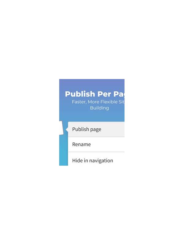 Multi Site Publish